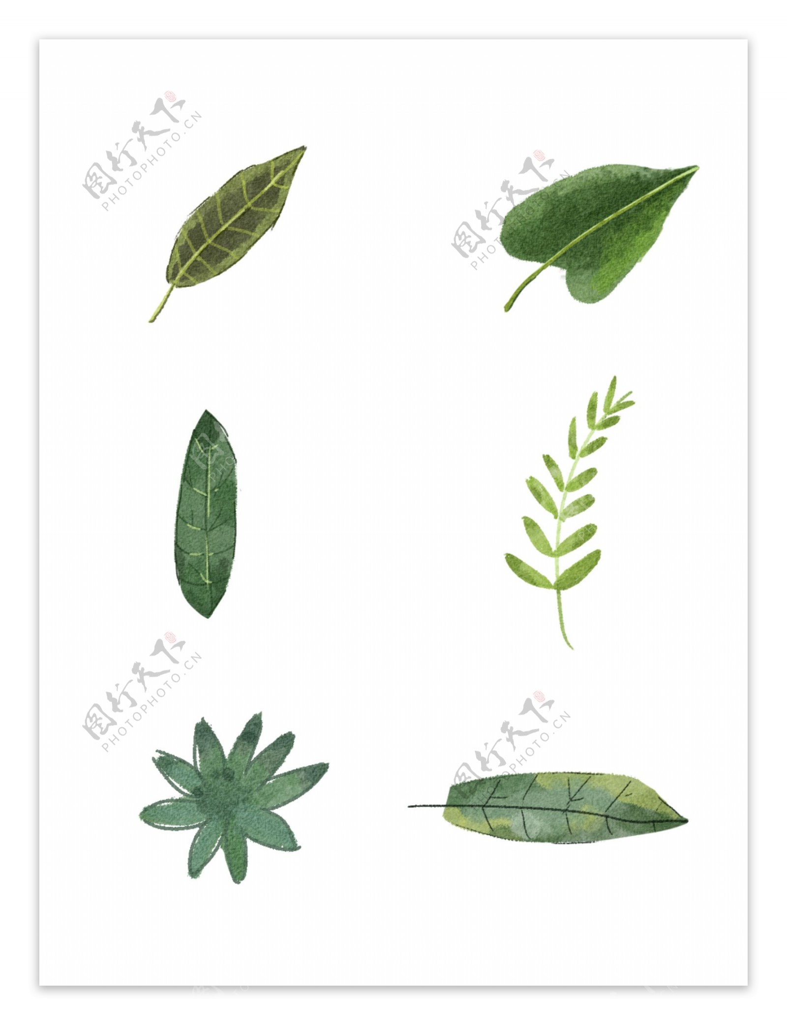树叶植物插画可商用元素