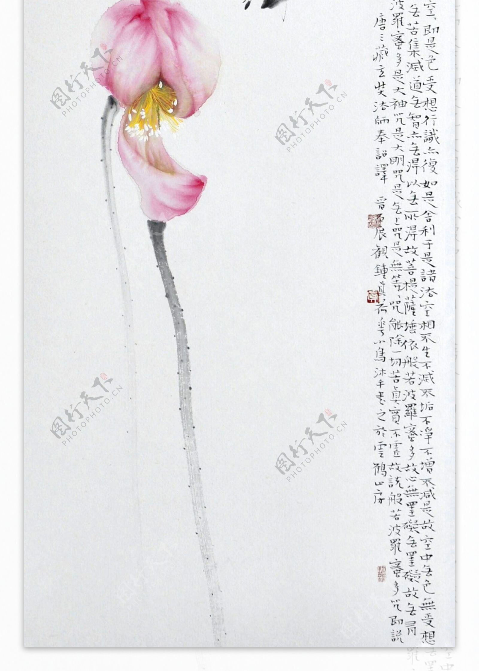新中式花鸟禅意装饰画国画