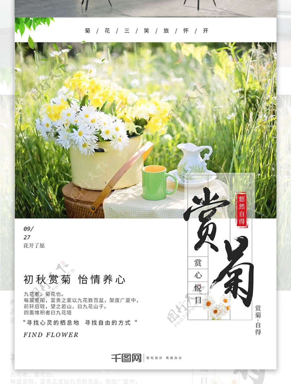简约小清新赏菊菊花美景旅行促销节日海报