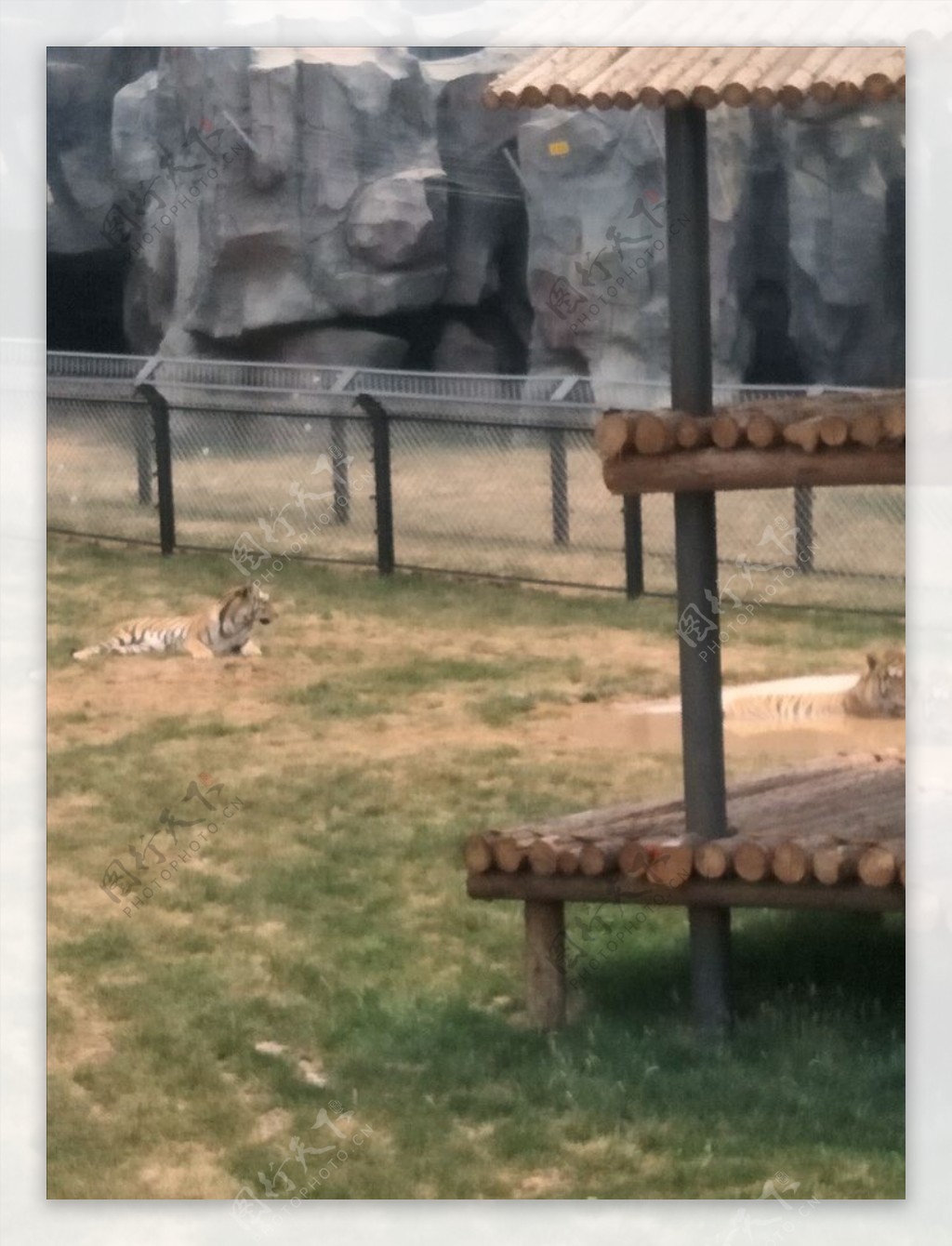 狮虎山动物园