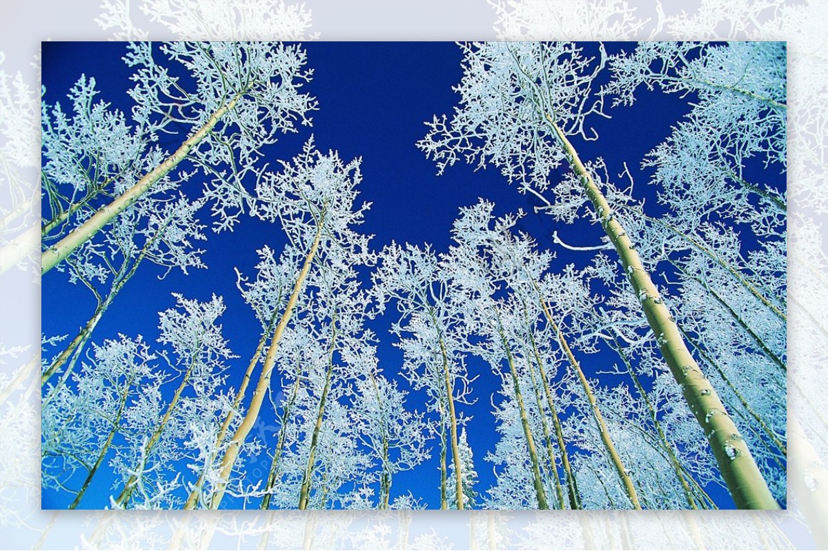 冬天雪景