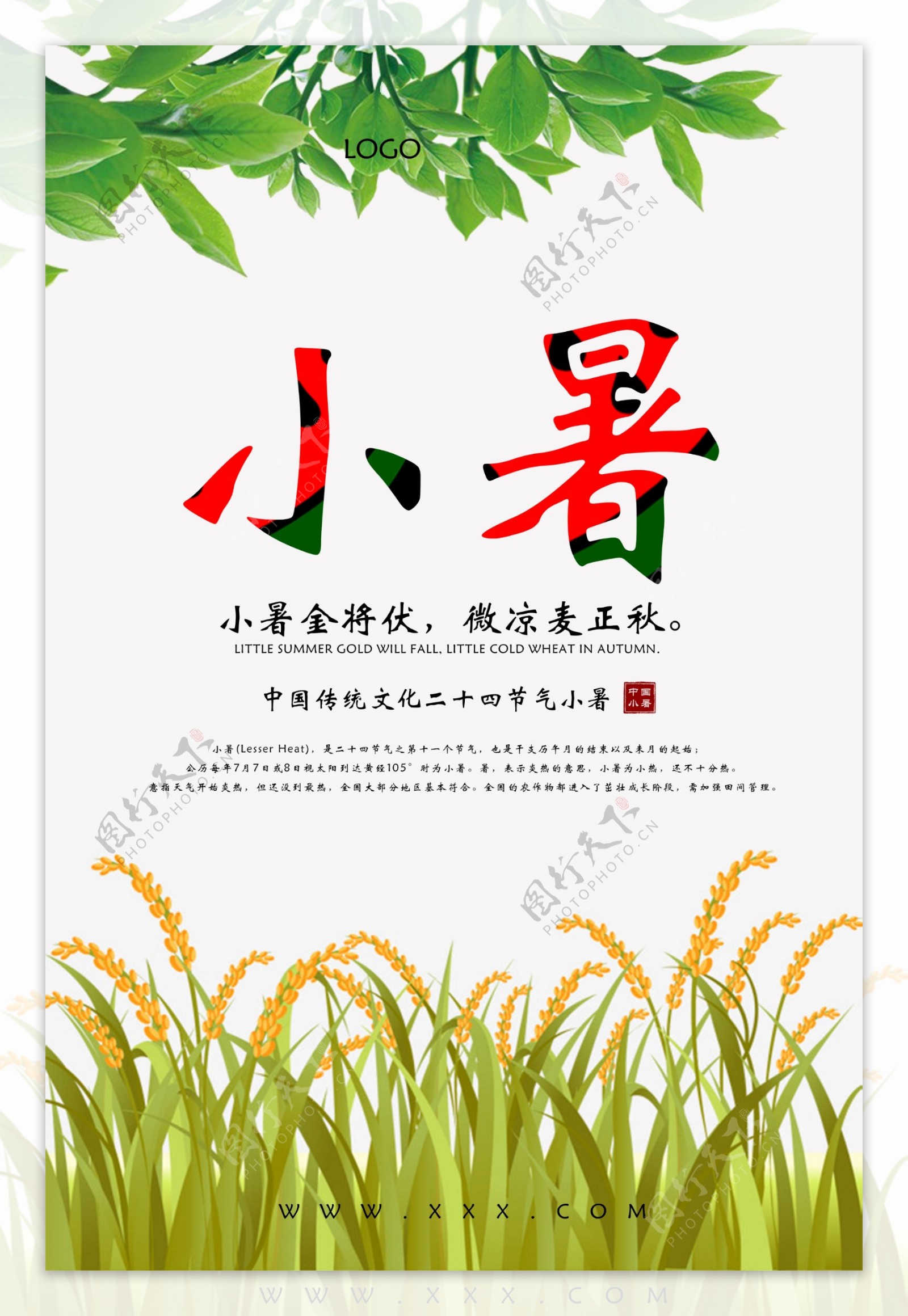 中国传统文化二十四节气小暑海报