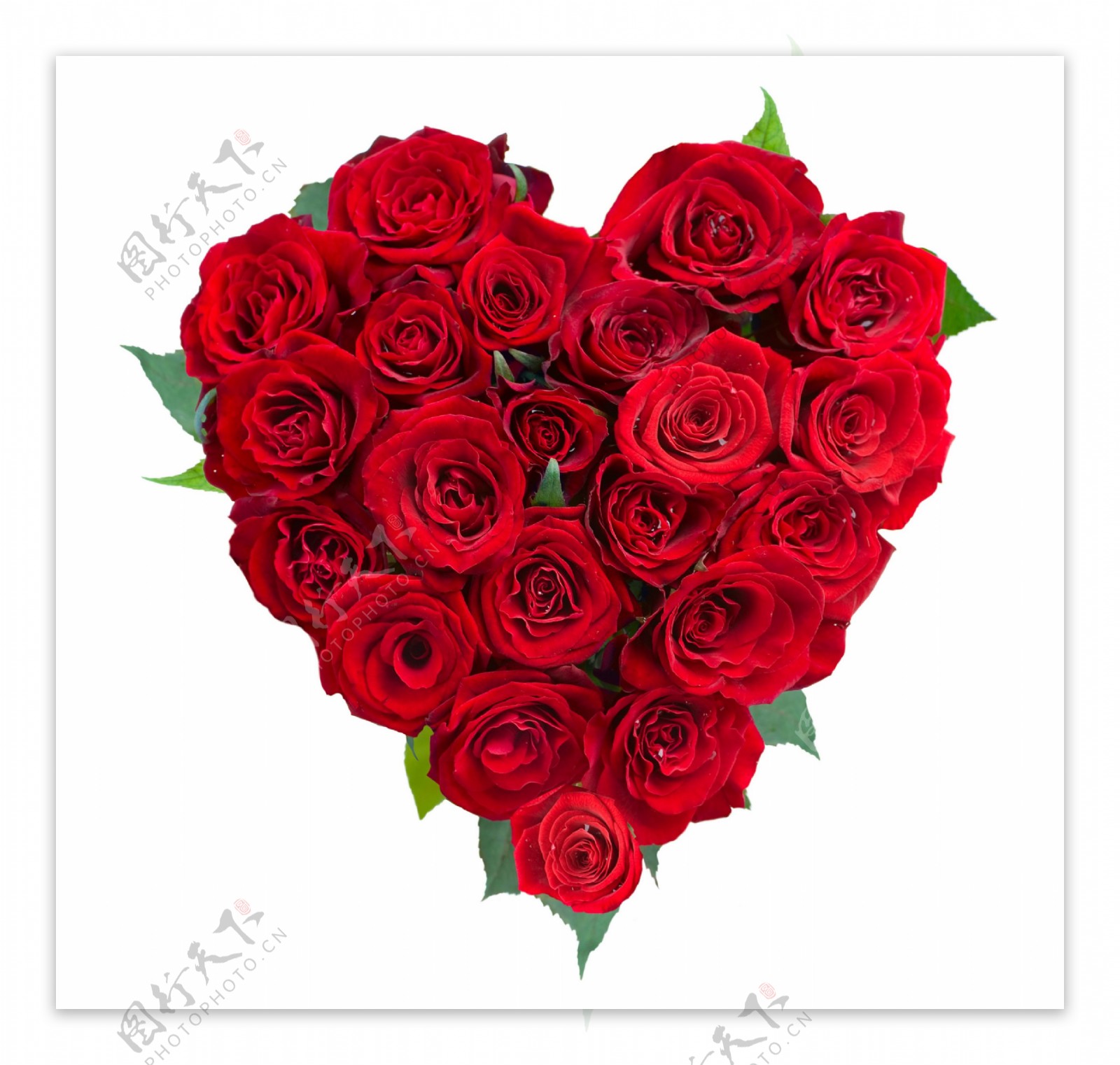 爱心玫瑰花素材图片下载-素材编号12497359-素材天下图库
