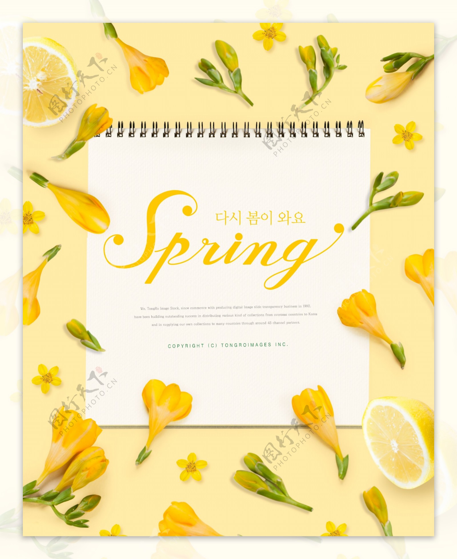韩式黄色花朵笔记本海报模板设计