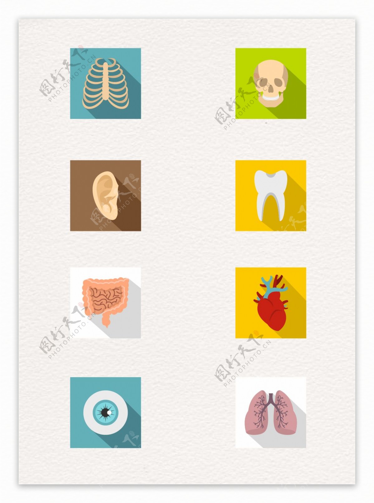 8组扁平化人体器官图标设计