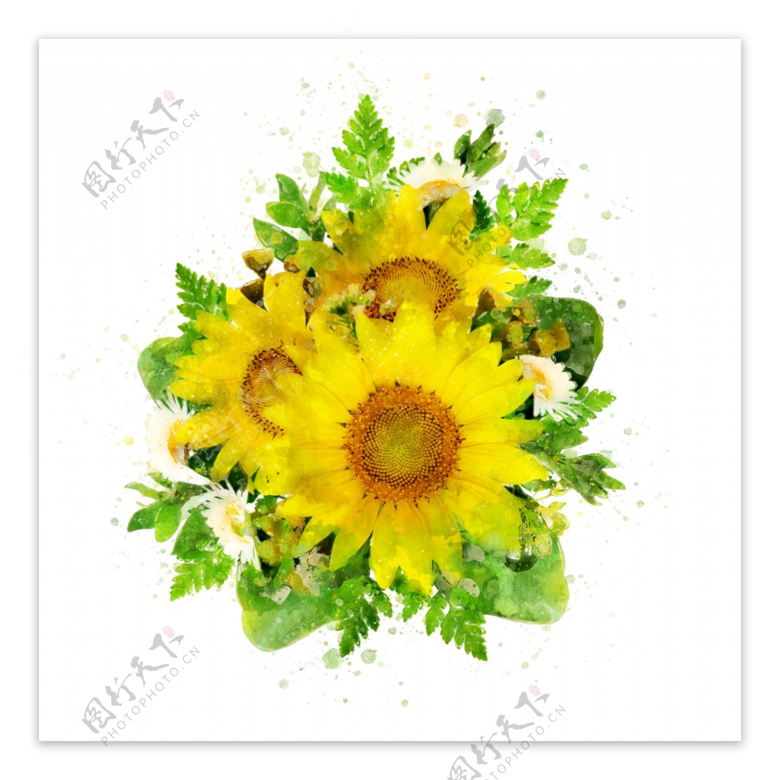 手绘黄色向日葵植物花卉水彩元素
