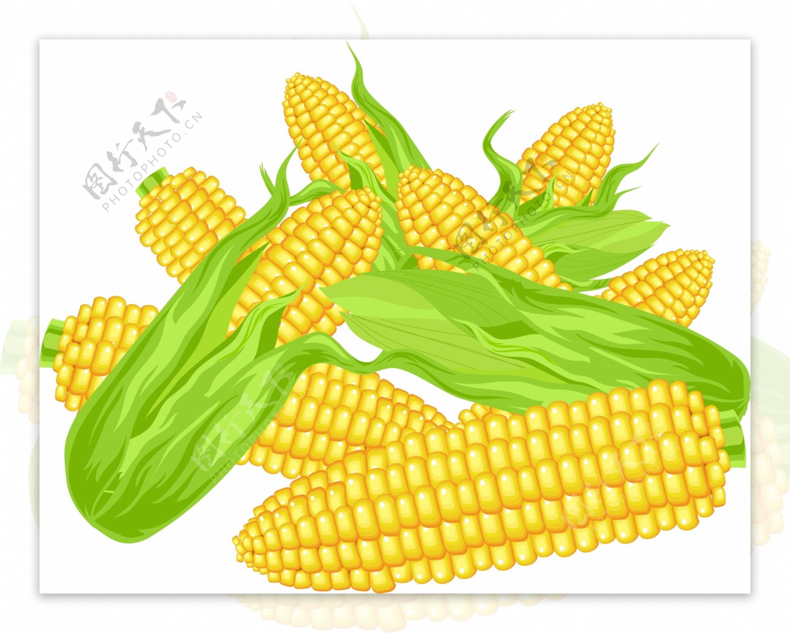 卡通小清新绿叶玉米元素