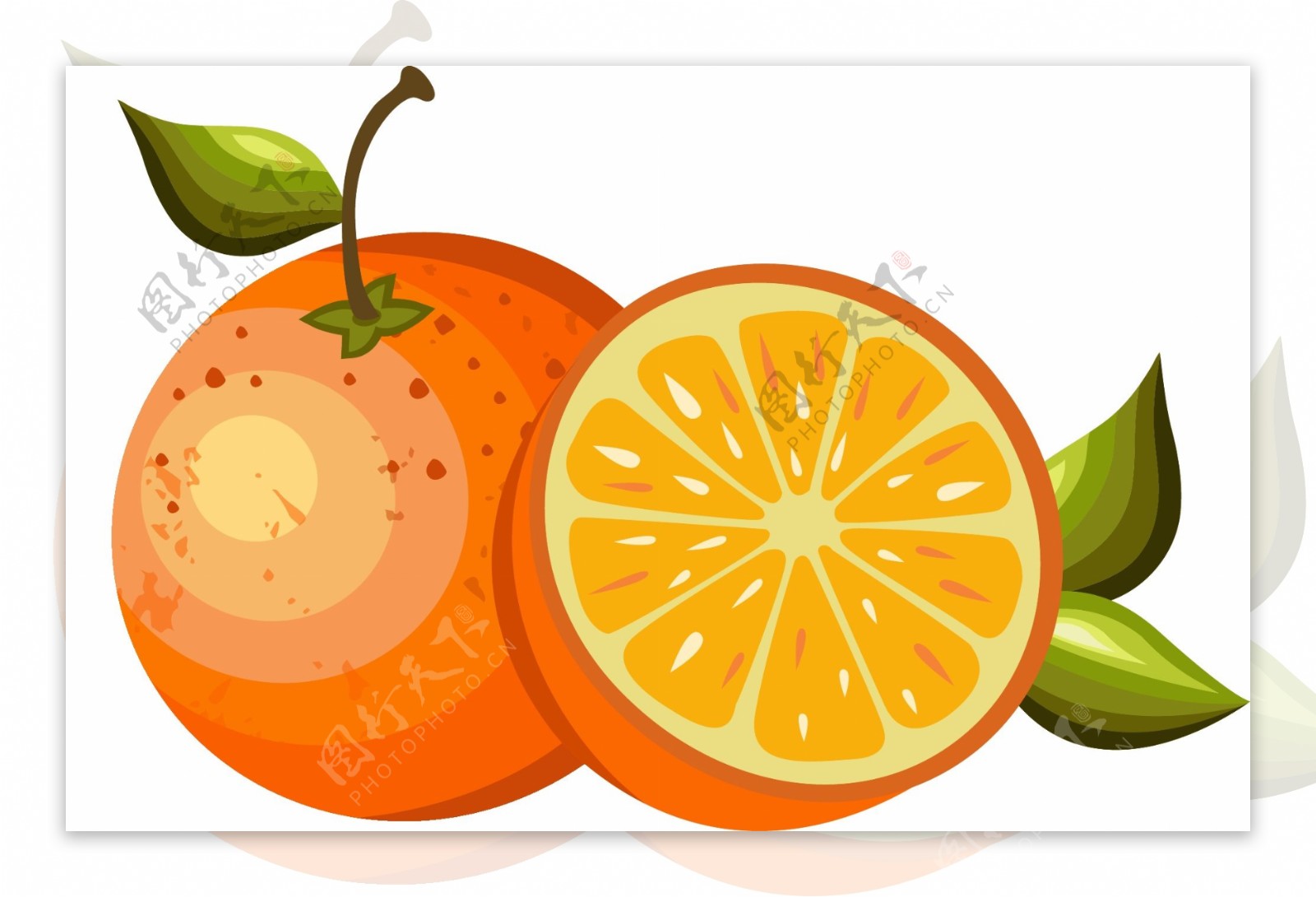 手绘橙子水果元素
