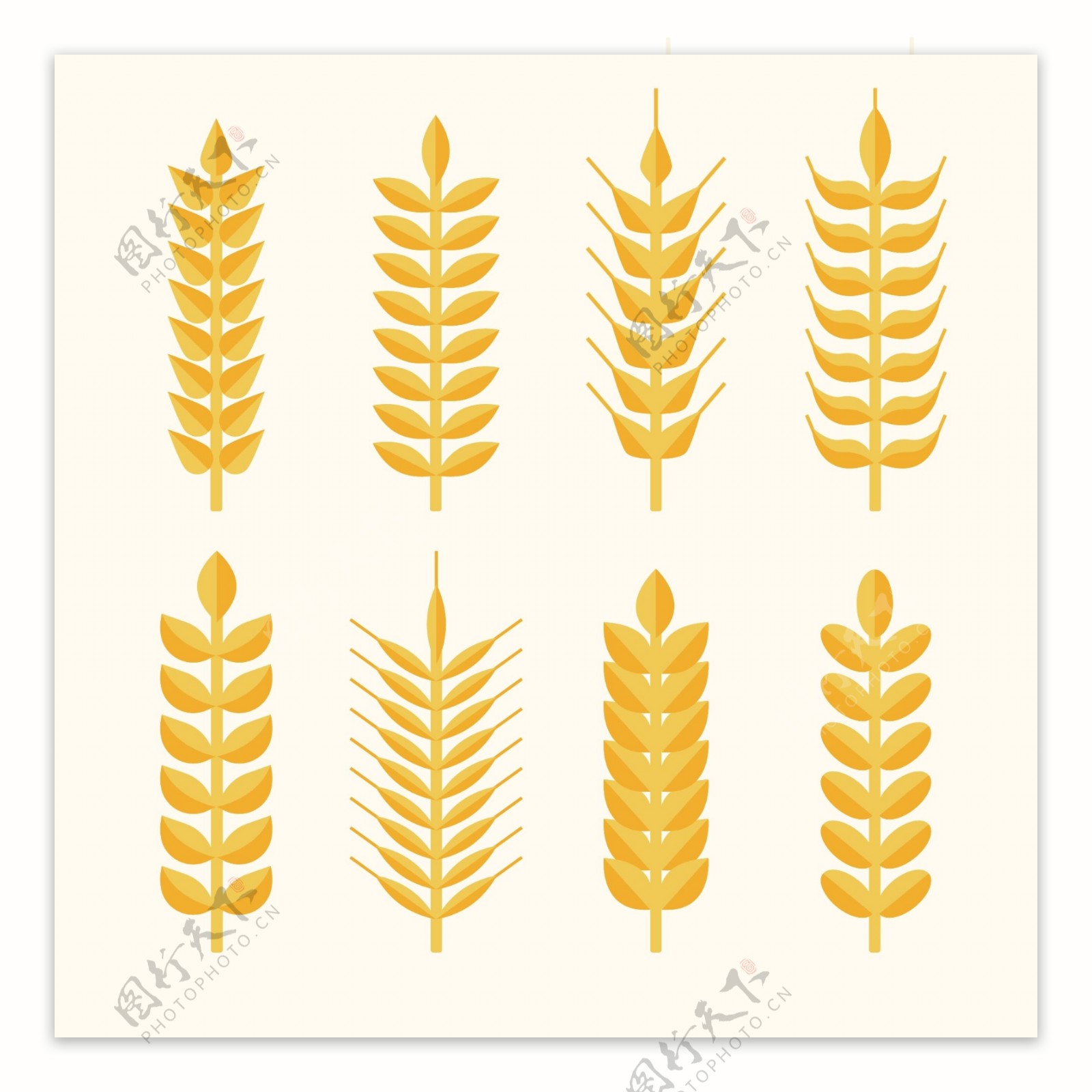 8款金色小麦合集设计