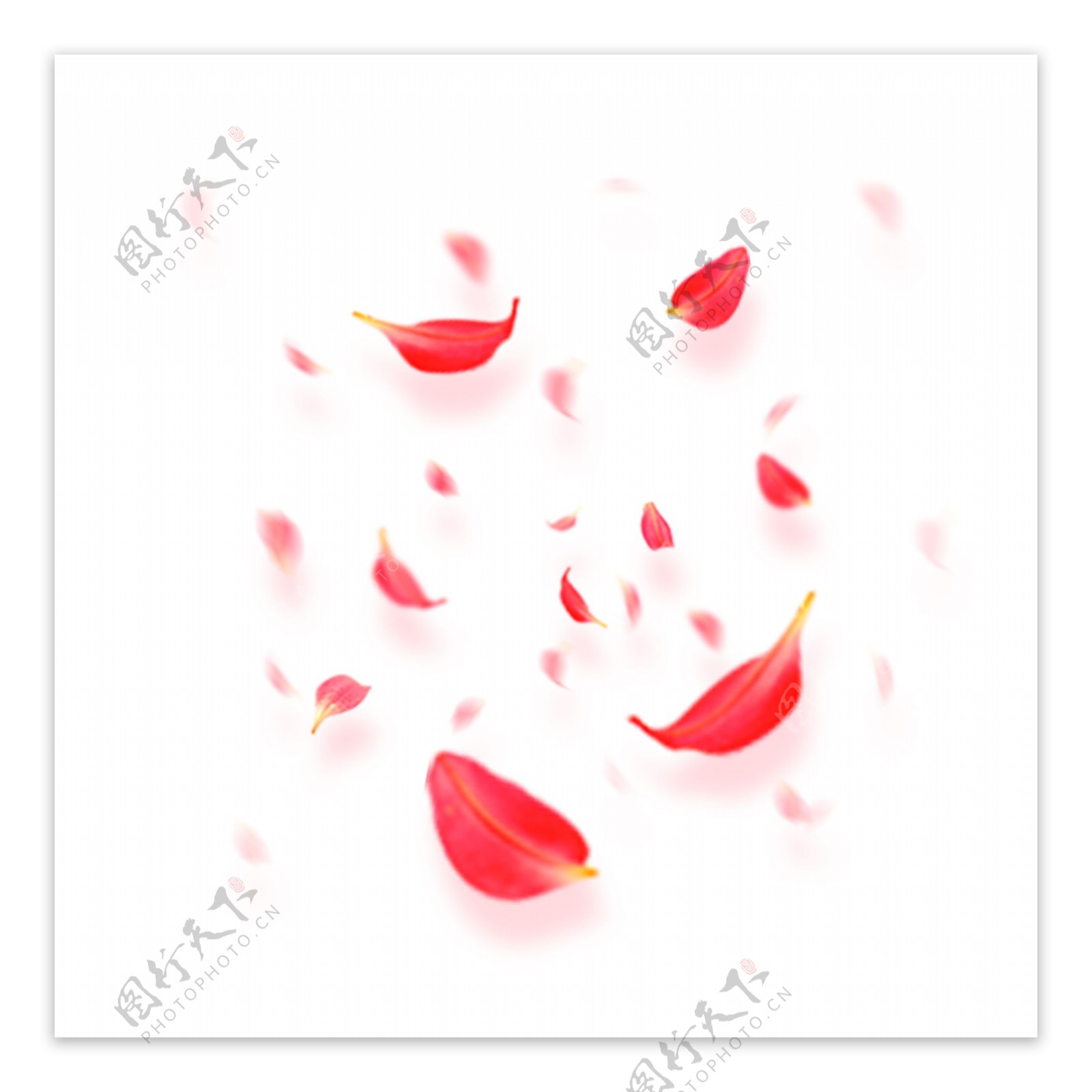 漂浮元素红色花瓣商用矢量素材