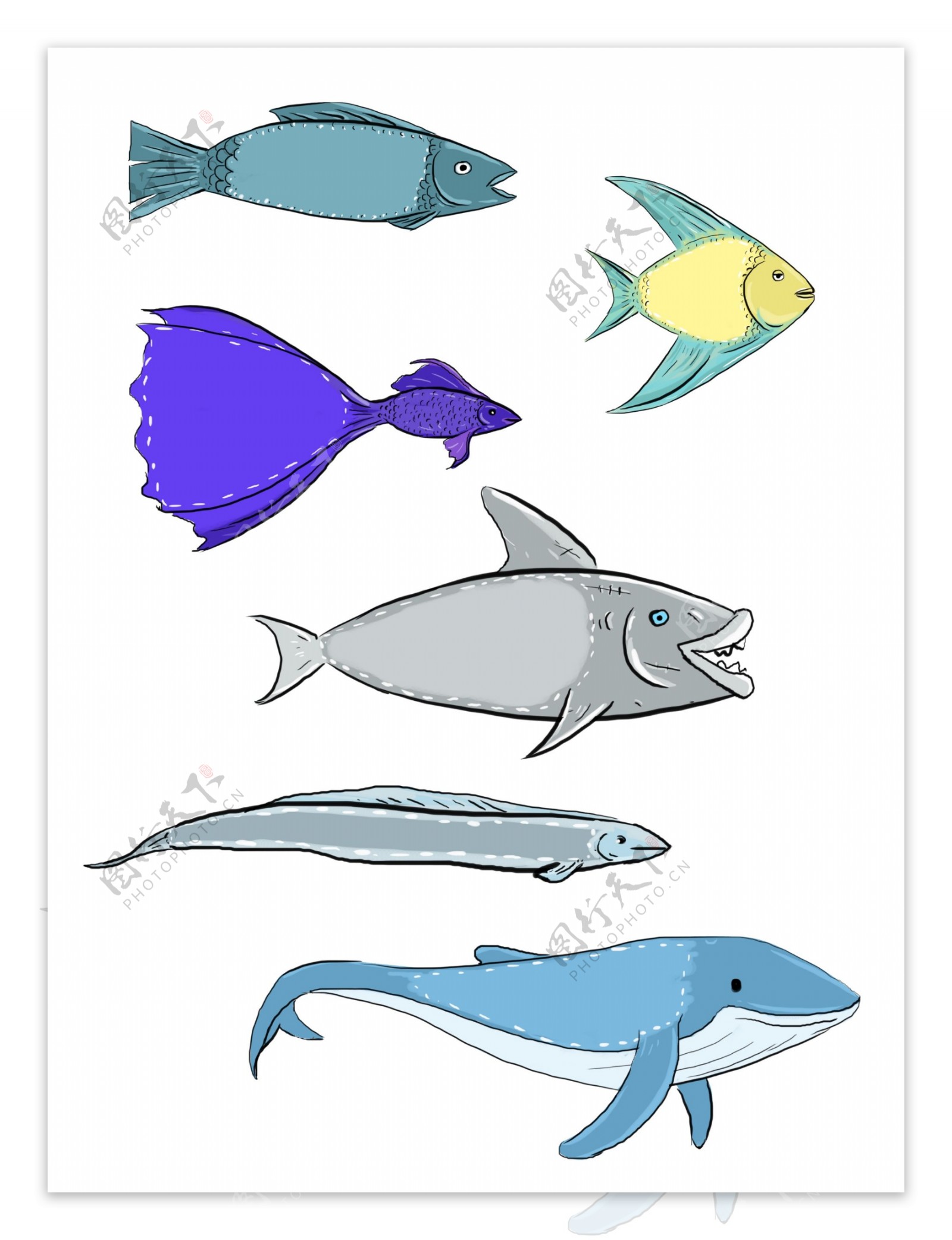 卡通鱼类边框元素