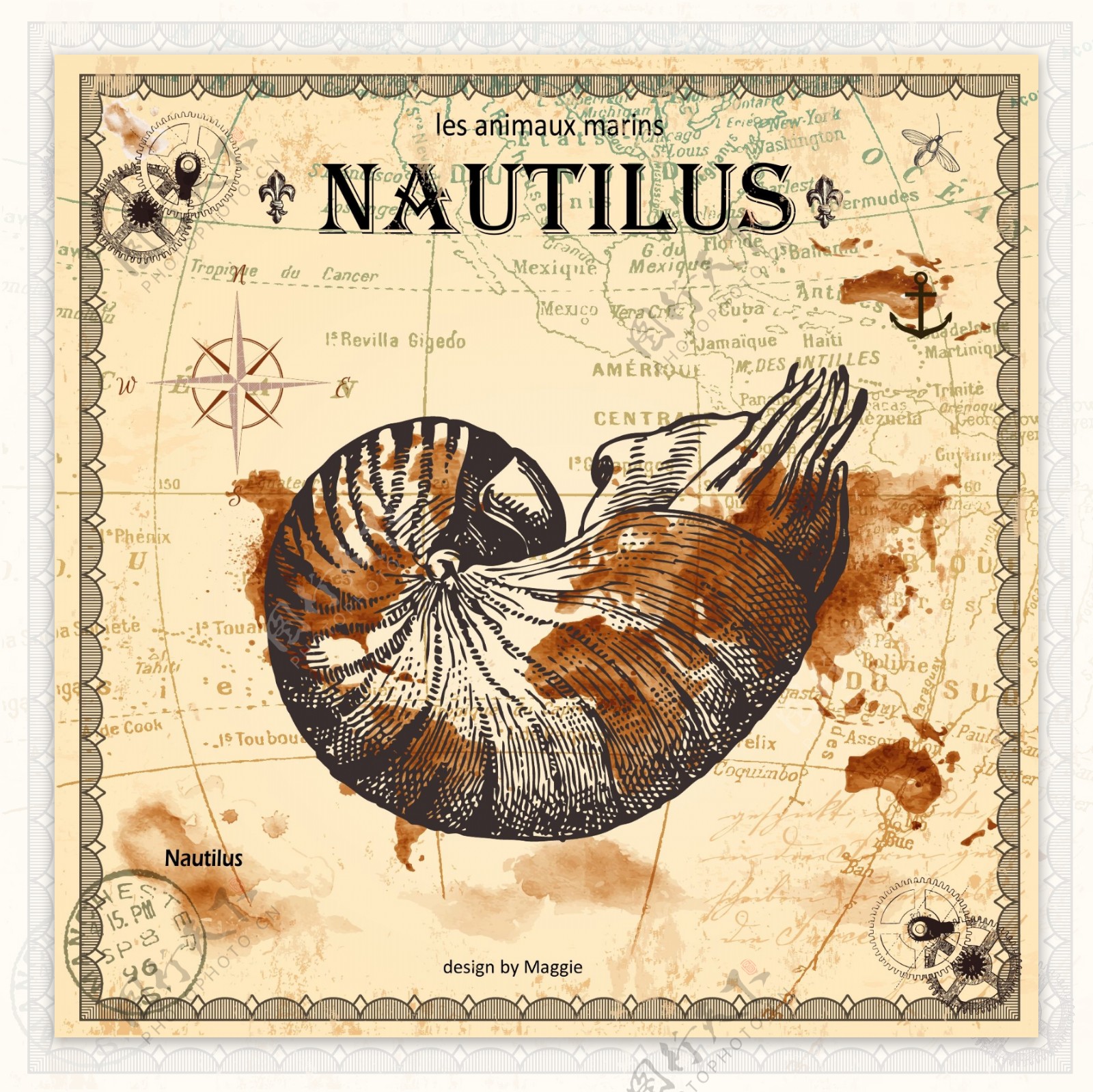 复古海底生物鹦鹉螺装饰画