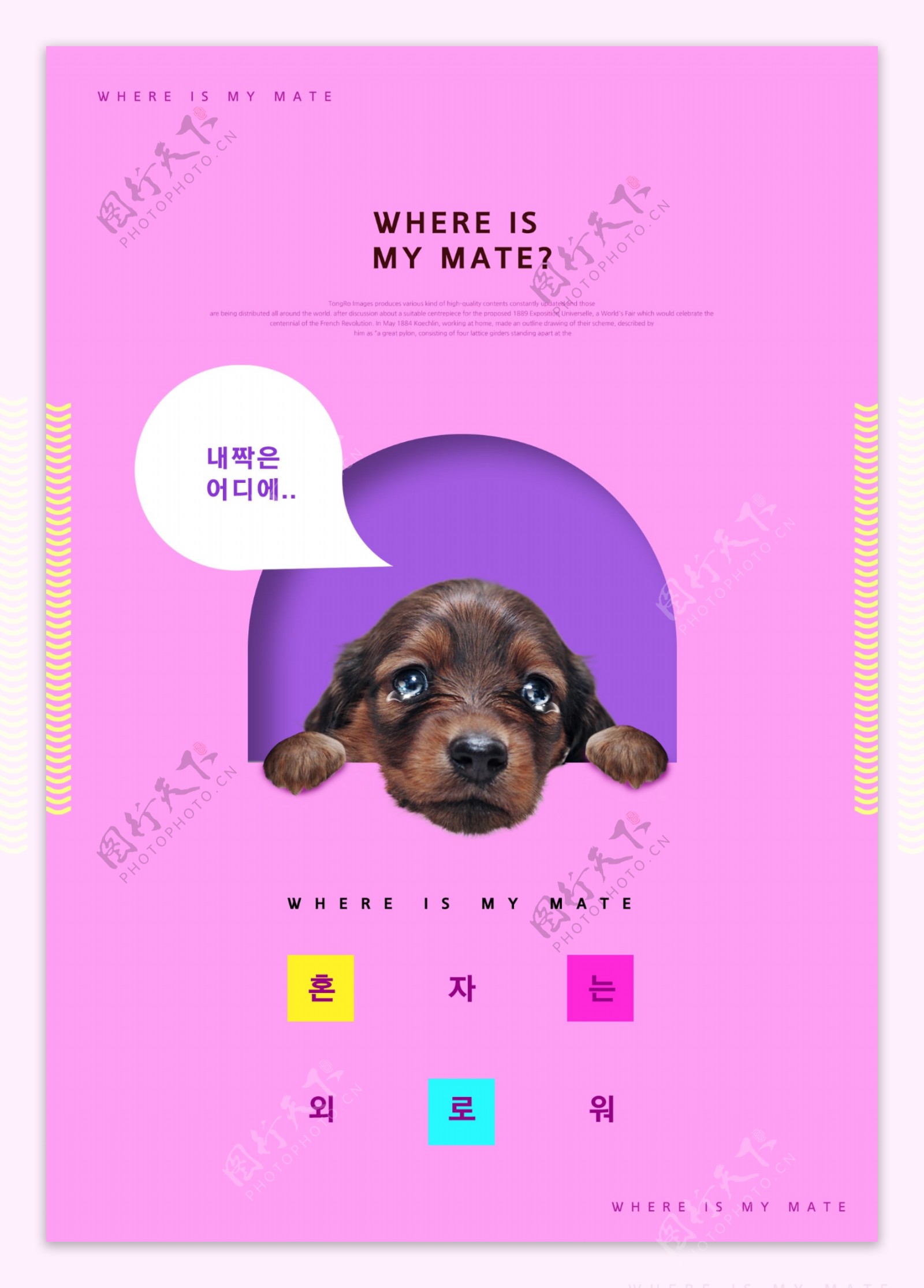 粉色韩式宠物狗相亲海报素材