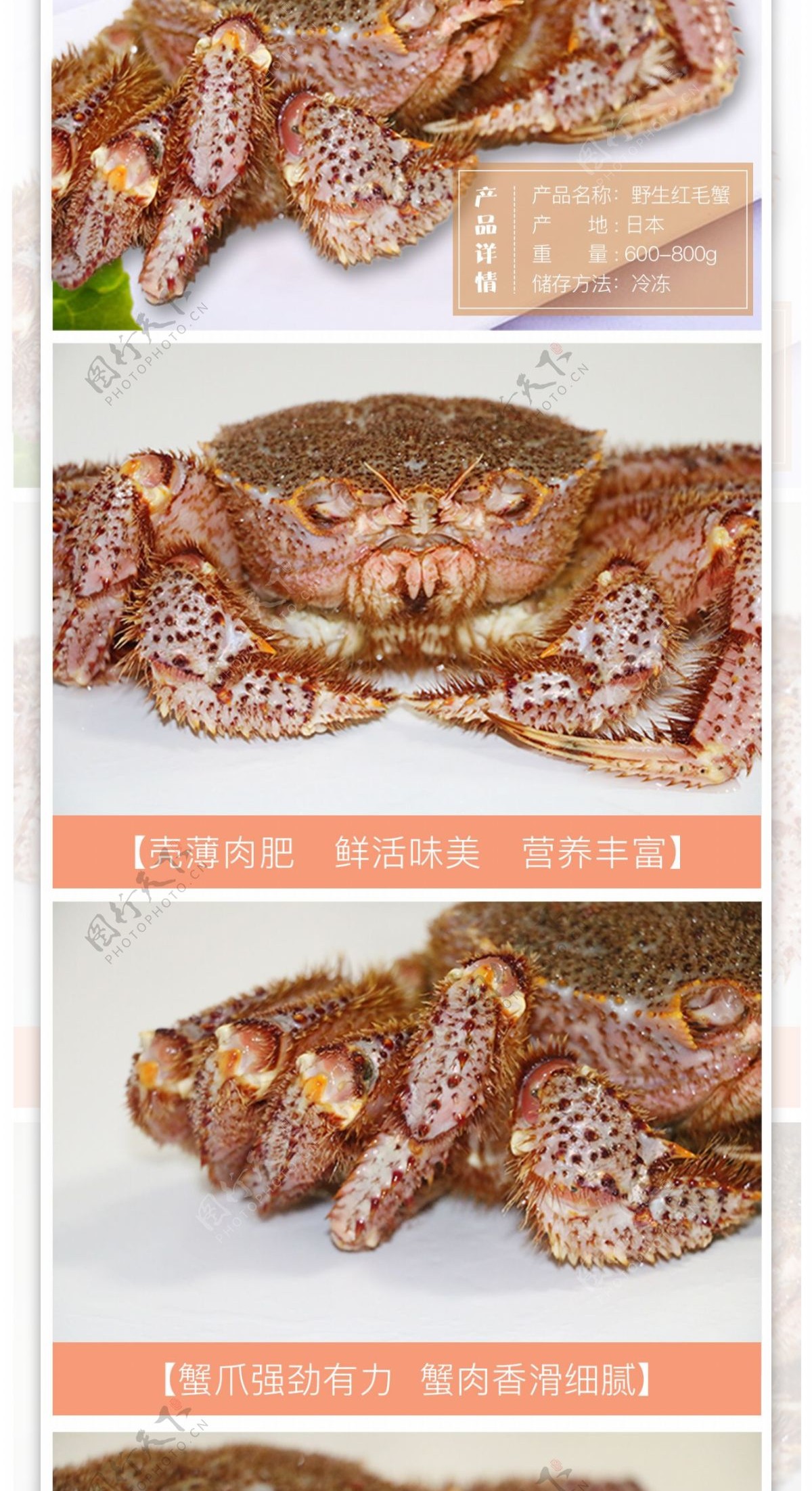 海鲜红毛蟹详情页设计