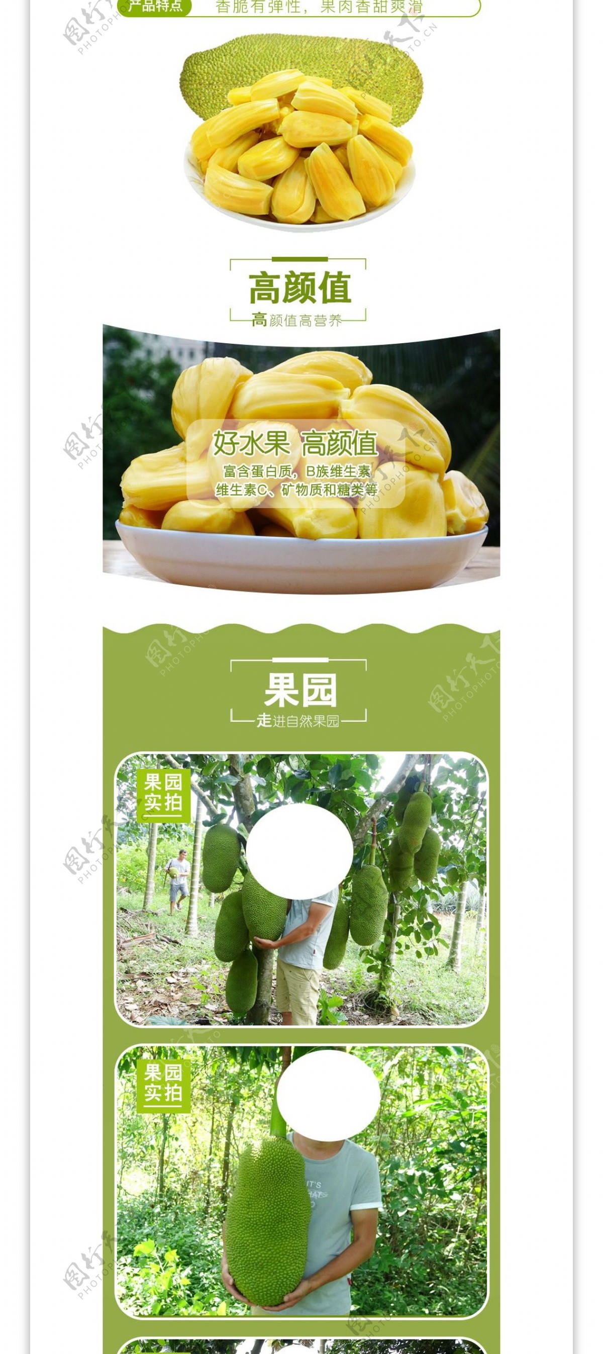 菠萝蜜详情页设计模板