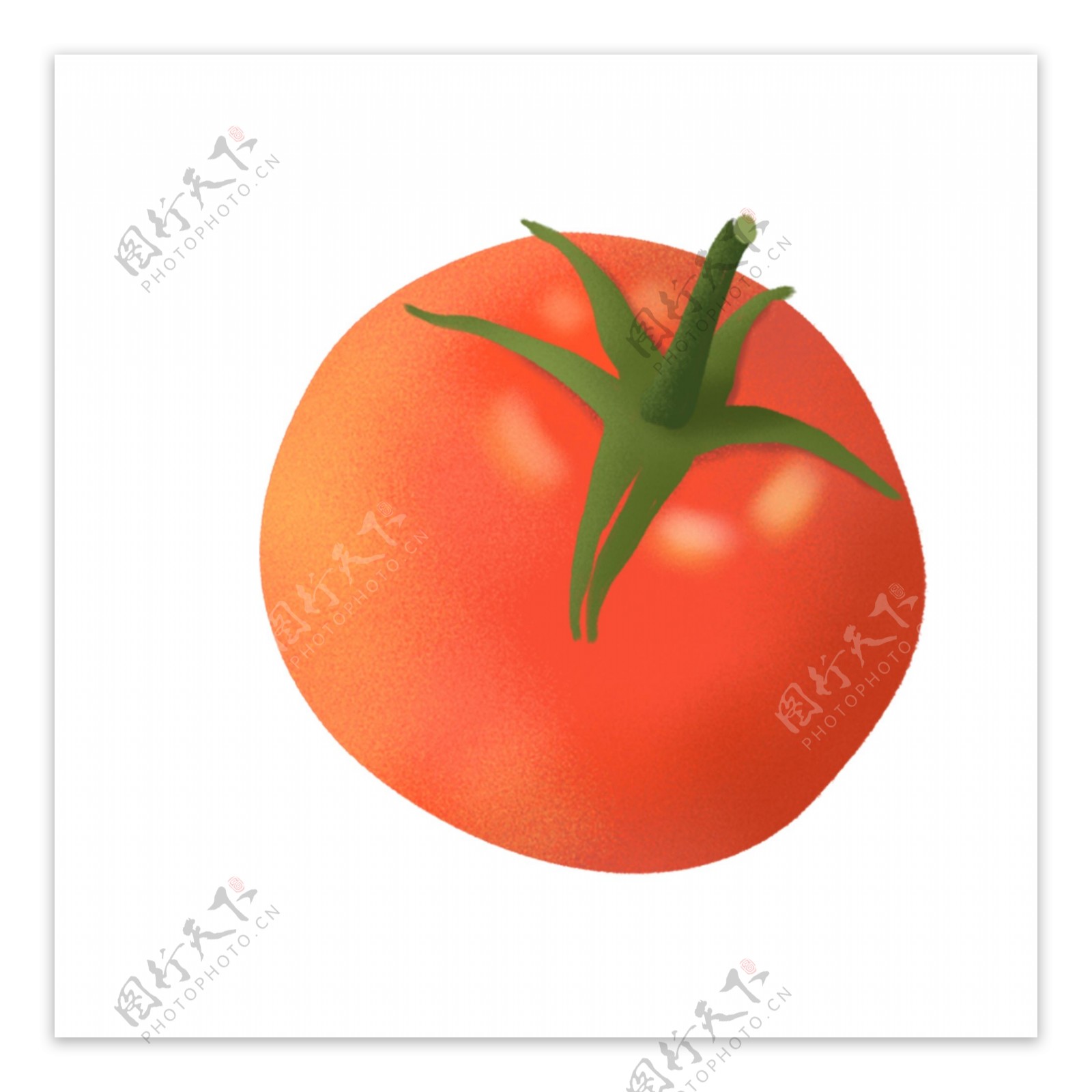 手绘新鲜蔬菜西红柿设计