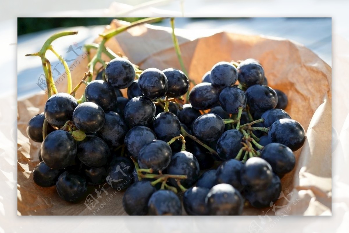 黑色食用葡萄