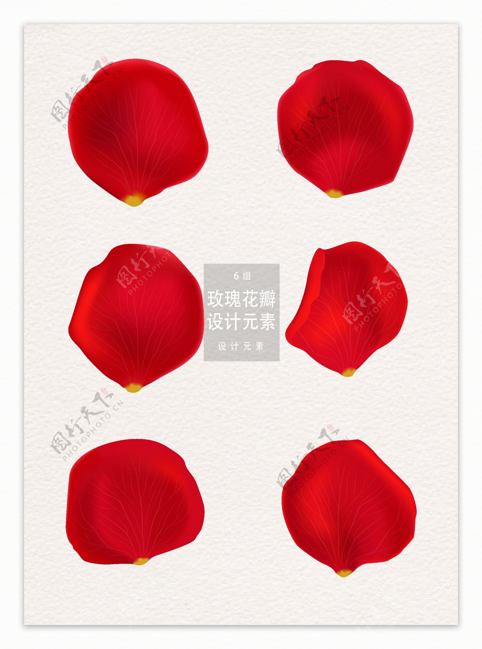 红色玫瑰花瓣设计元素