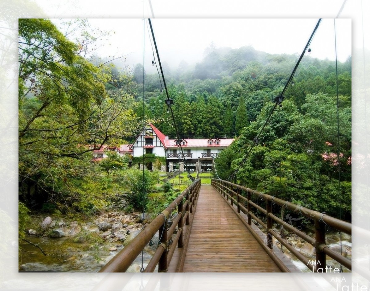 木桥风景