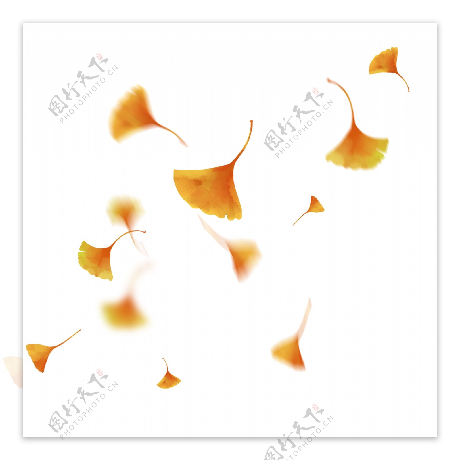 漂浮的银杏叶漂浮的树叶手绘银杏叶
