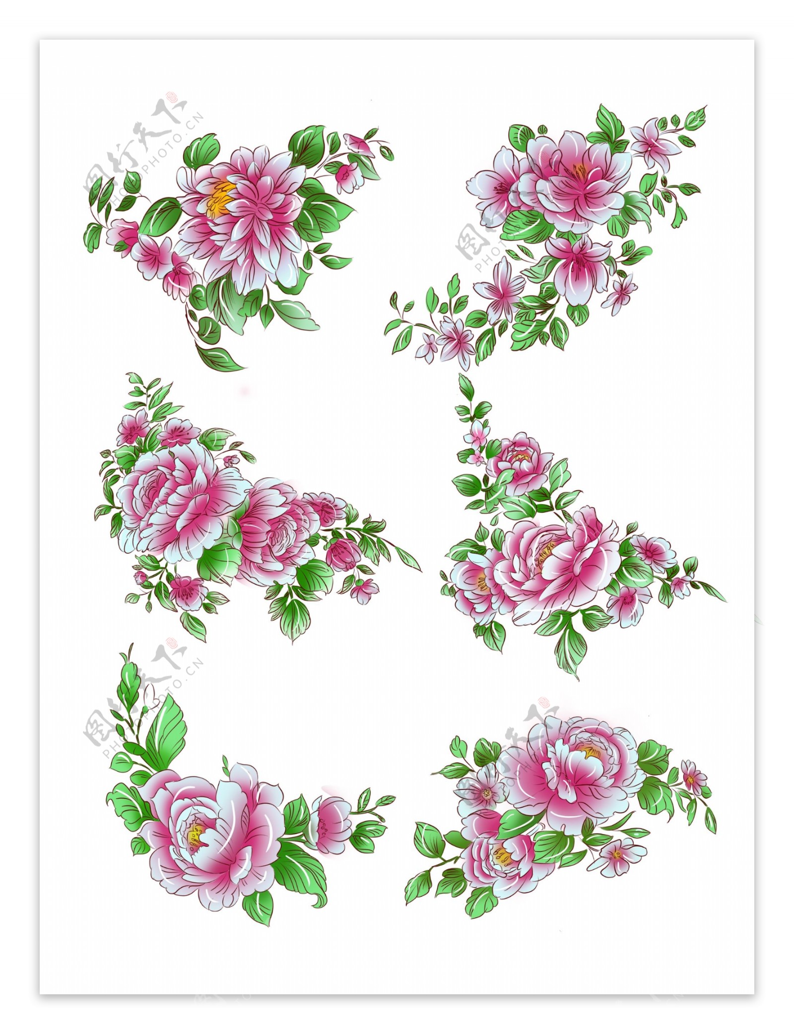 手绘植物粉红色手绘牡丹花