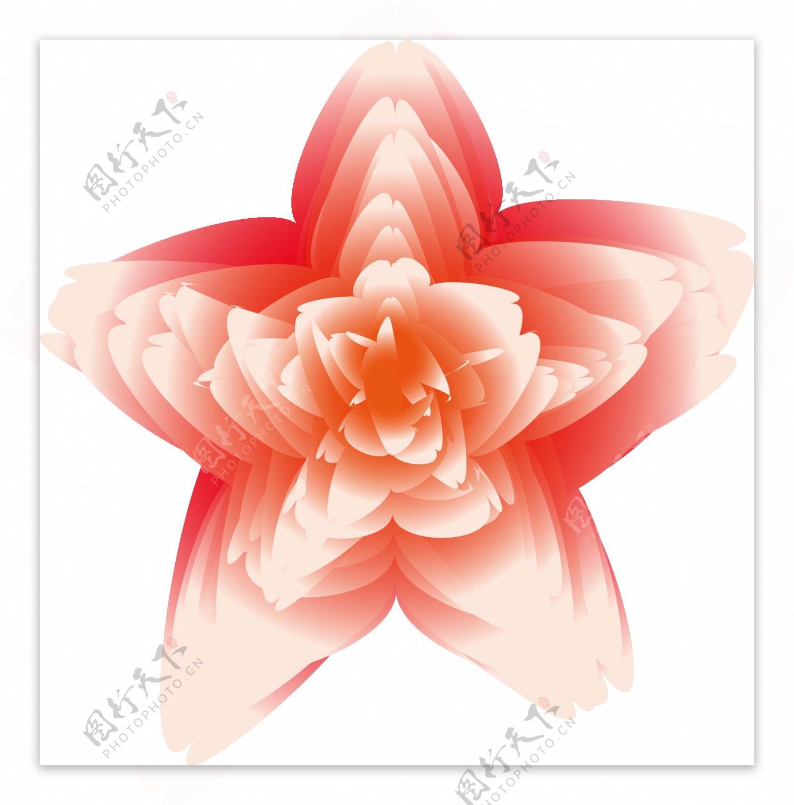 五角粉红色绚烂花朵装饰图案元素