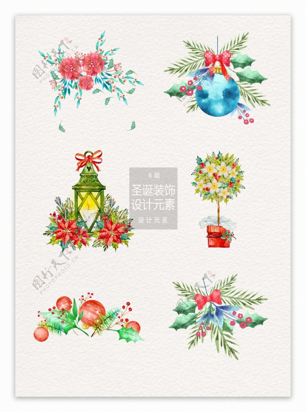 圣诞水彩植物装饰设计元素