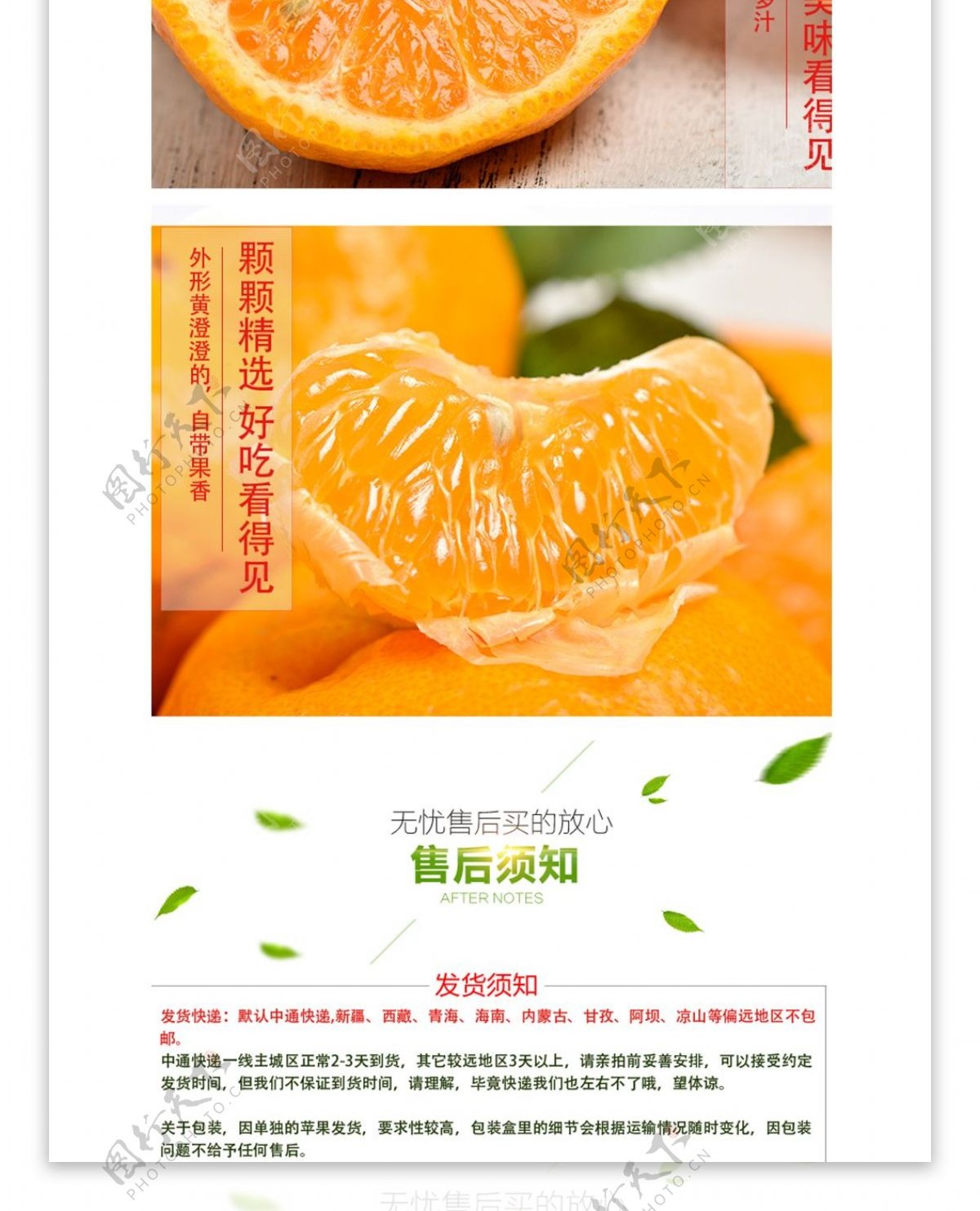 电商淘宝水果生鲜椪柑详情页柑橘