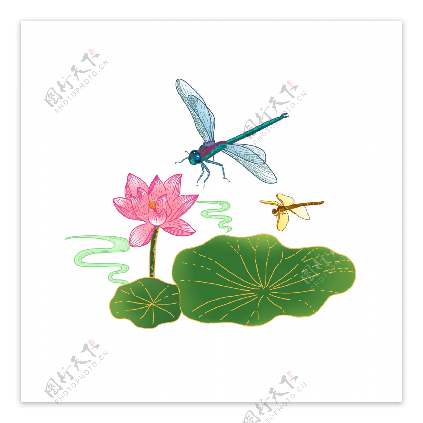 手绘中国风蜻蜓荷花