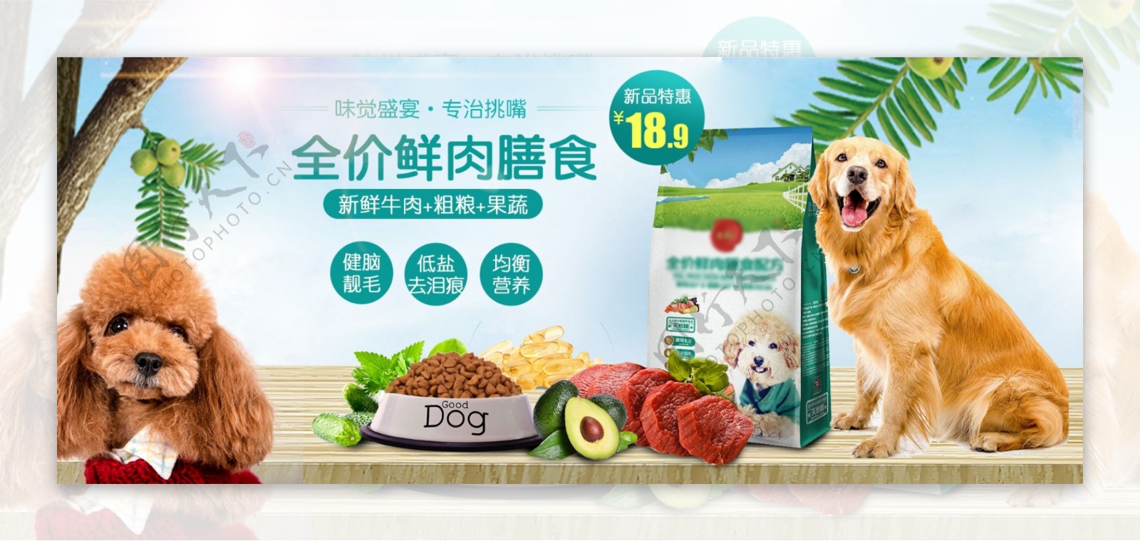 小清新宠物食品海报设计