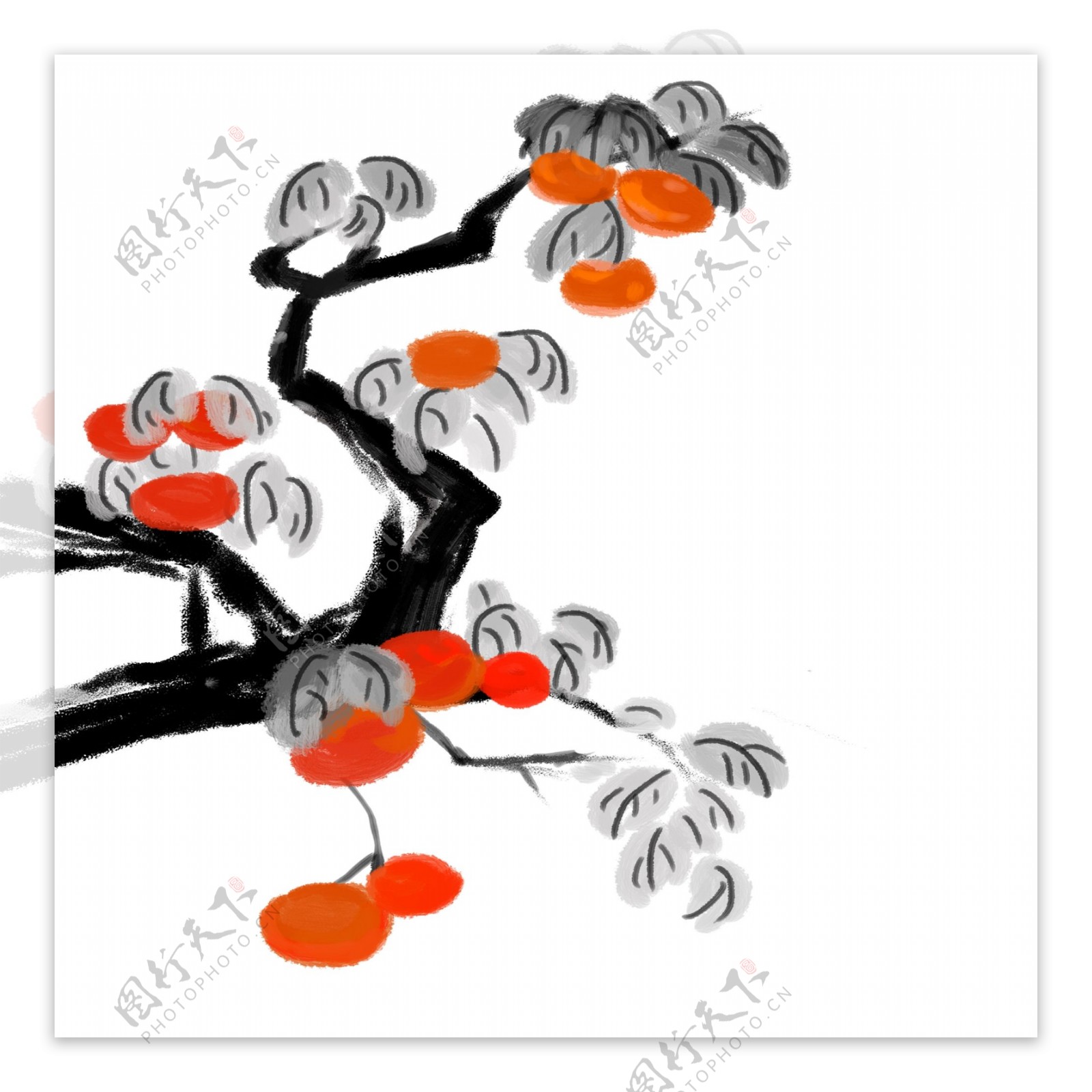 手绘中国画柿子树原创元素
