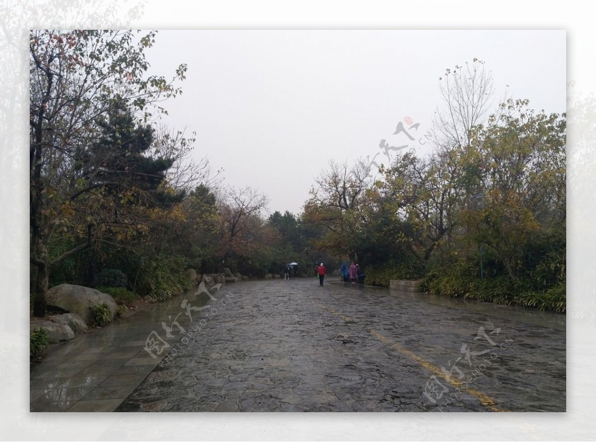 雨天的公园风景