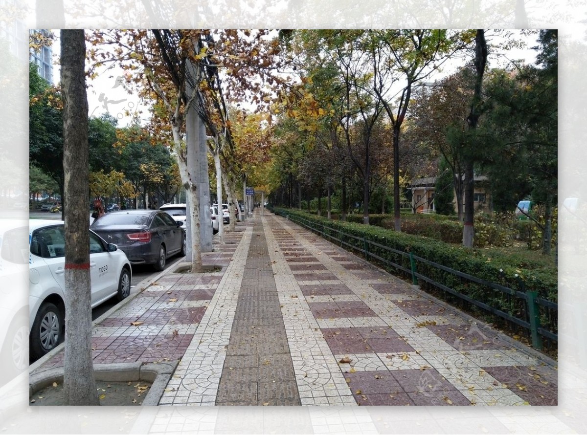 雨天的城市街道