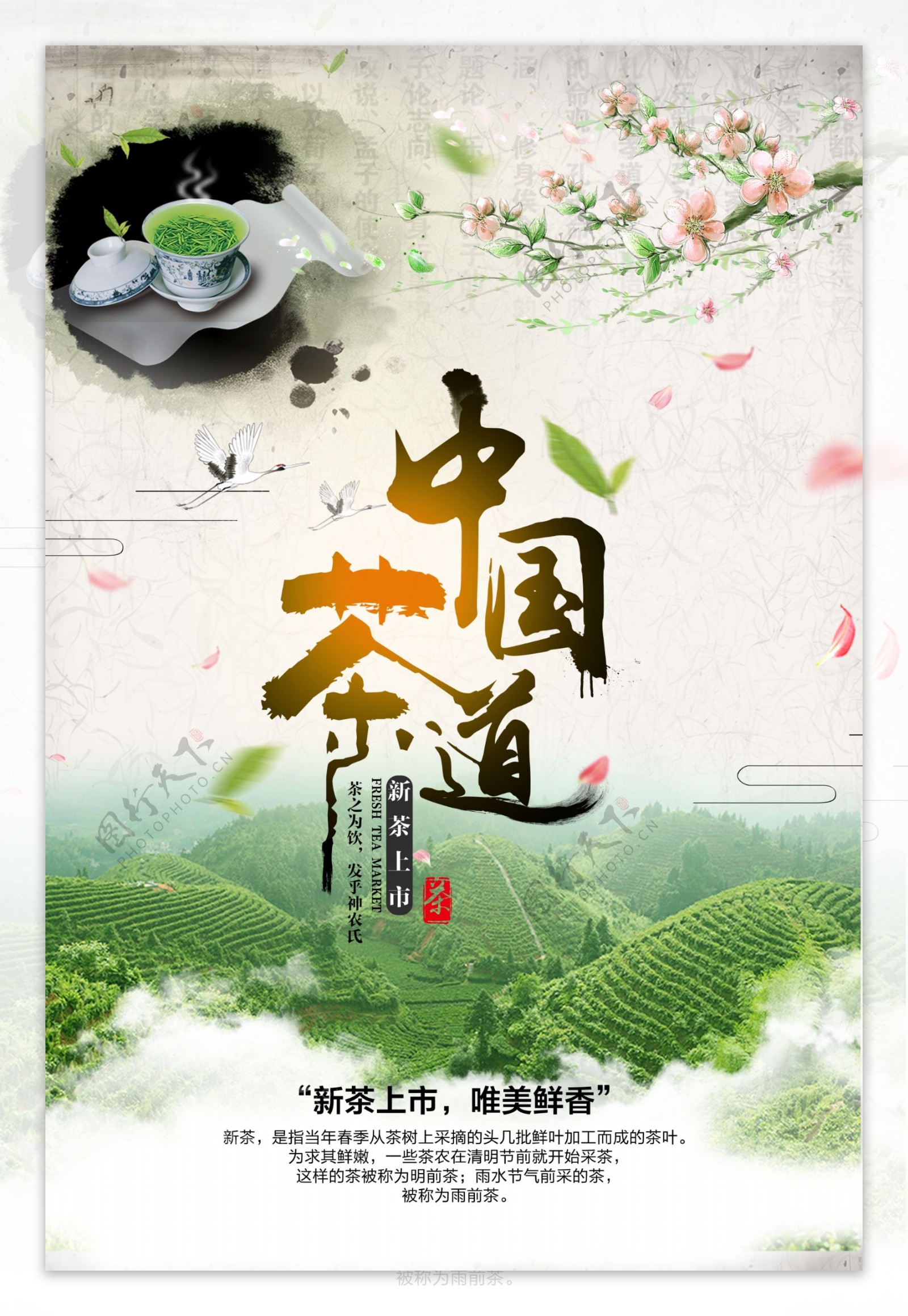 清新中国风茶文化海报