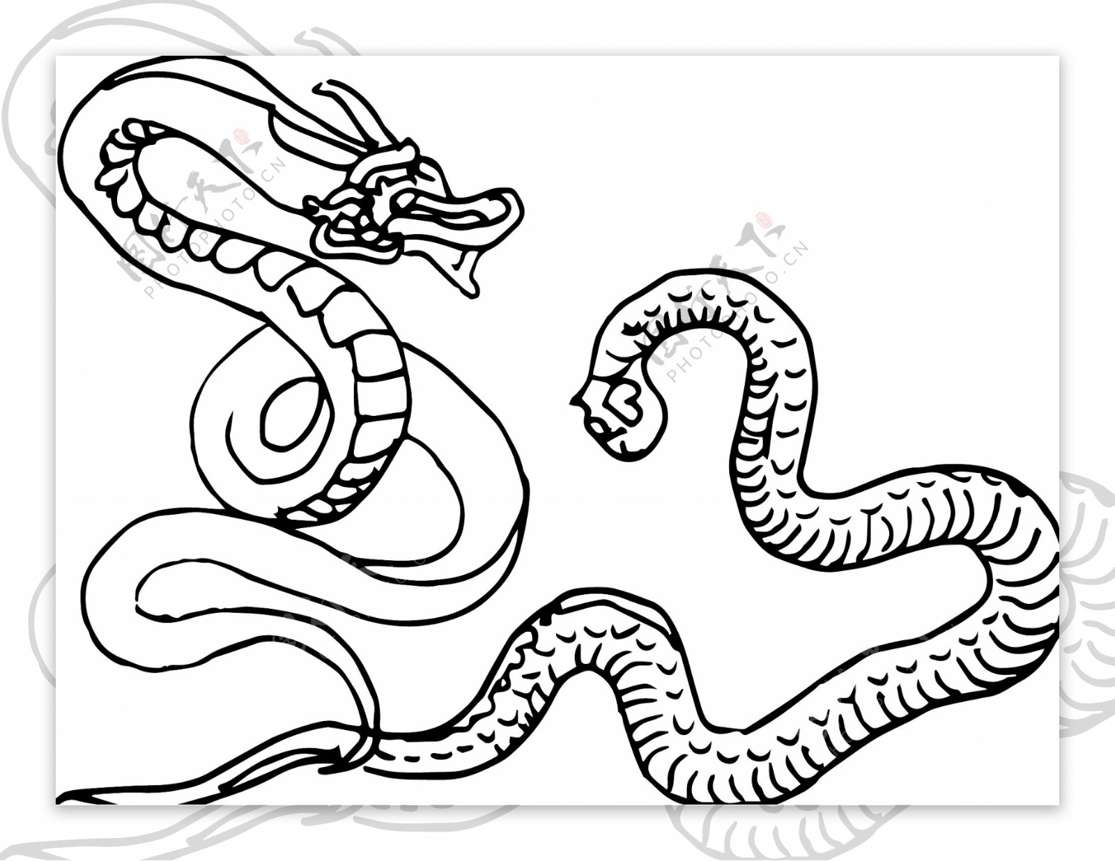 十二生肖龙蛇手绘线条黑白动态