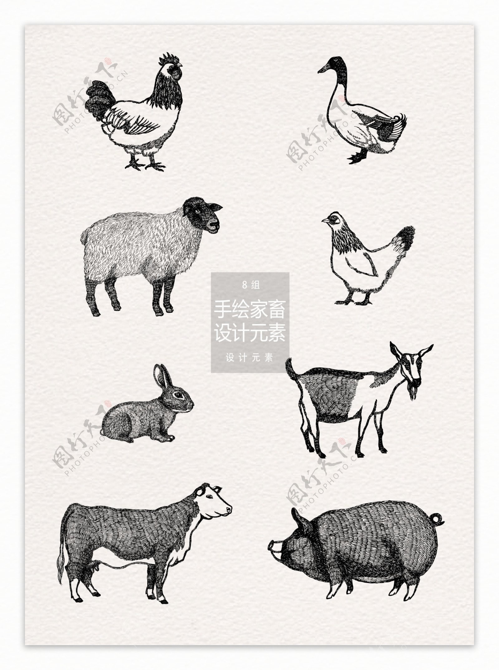 手绘家畜动物设计元素