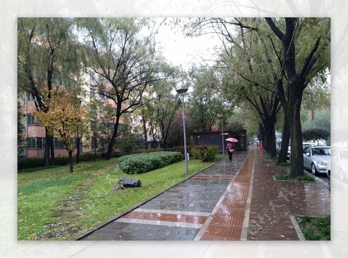 雨天的城市街道