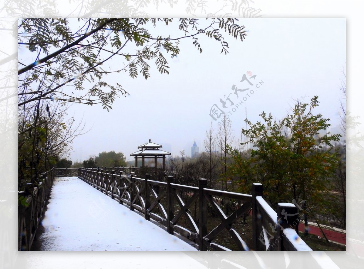 泸州初雪