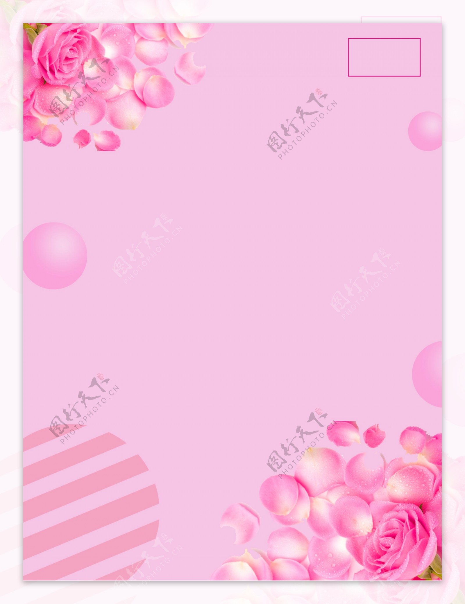 清新粉色花瓣广告背景