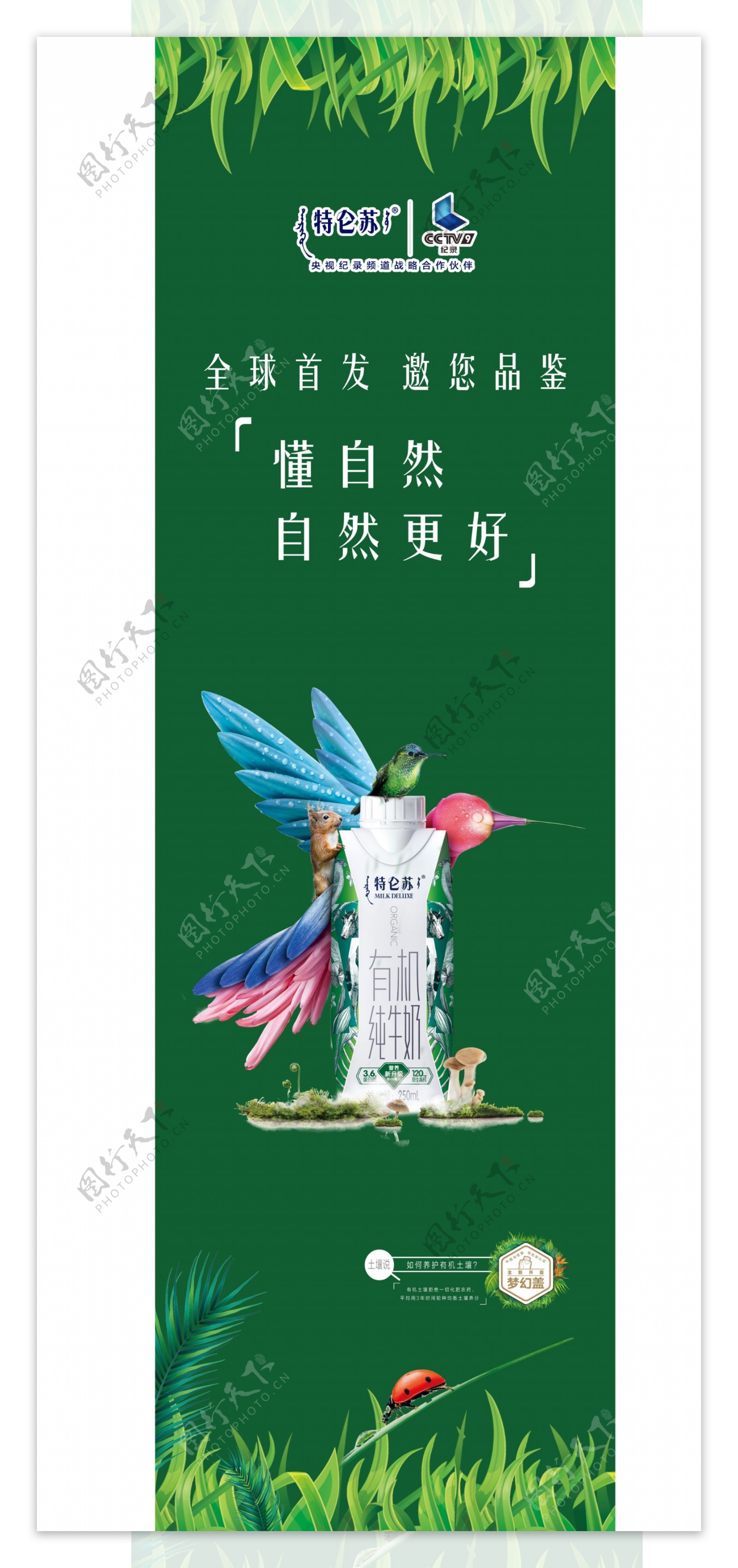 蒙牛特仑苏有机纯牛奶