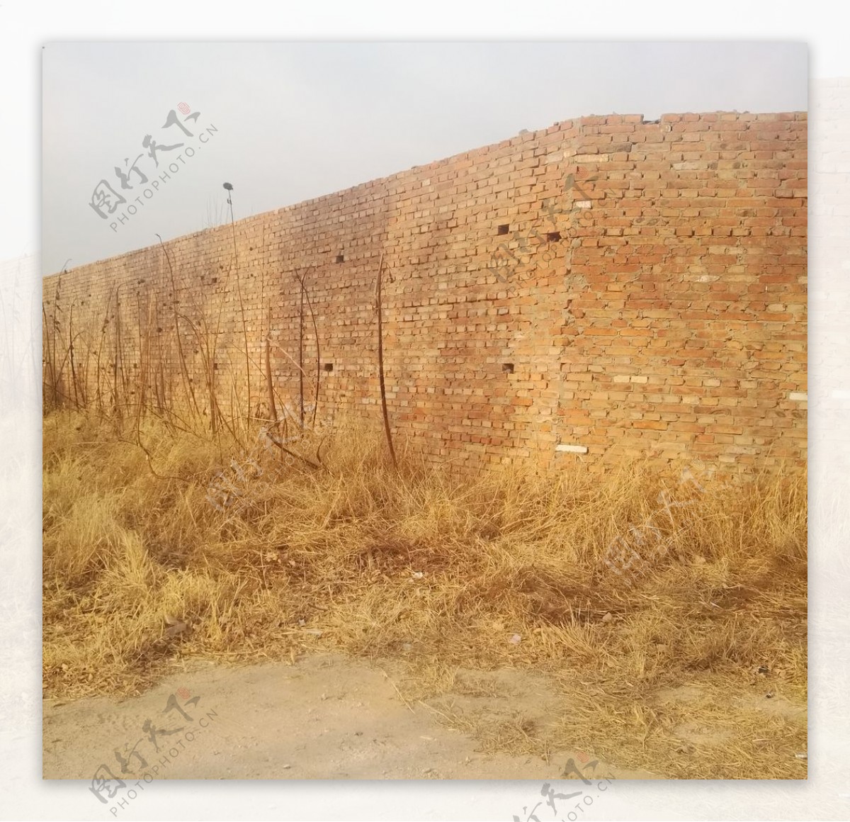 农村围墙