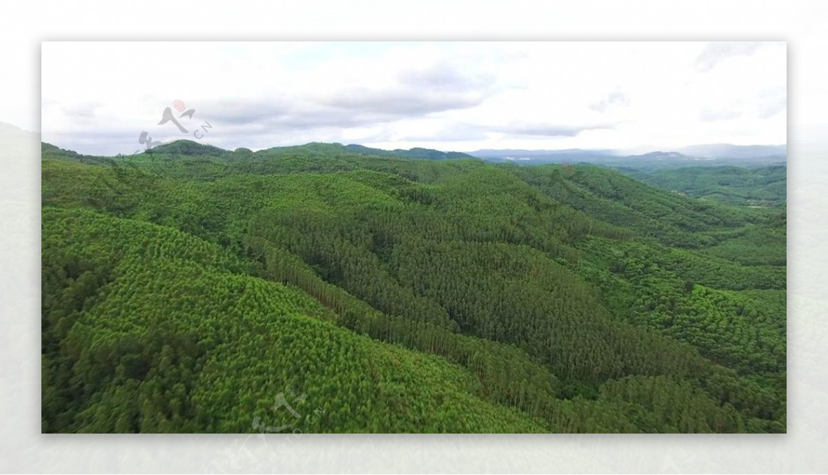 黎母山海南风景摄影自然