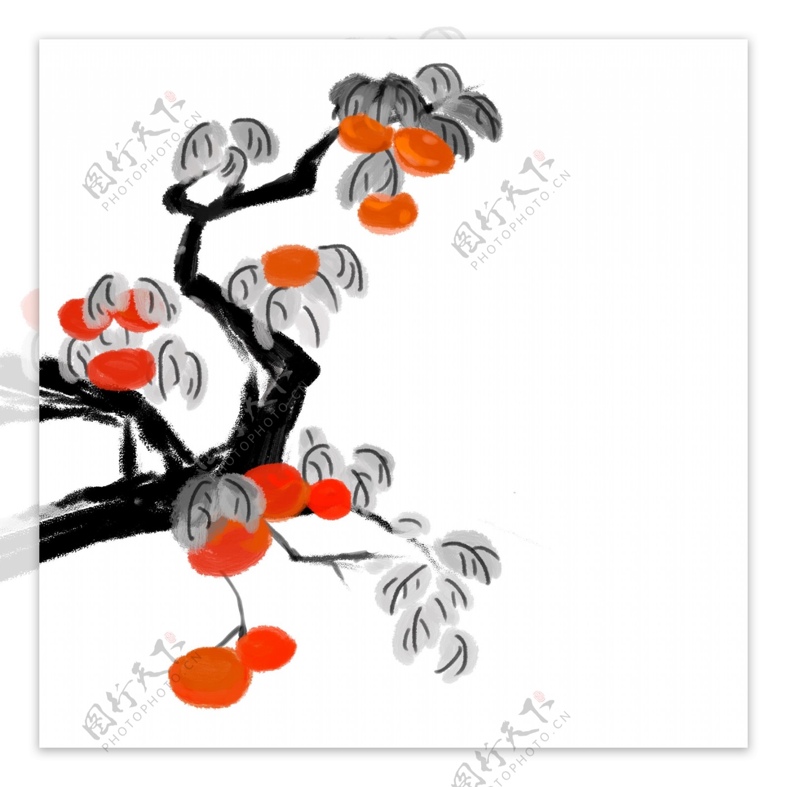 水墨中国风柿子树设计元素