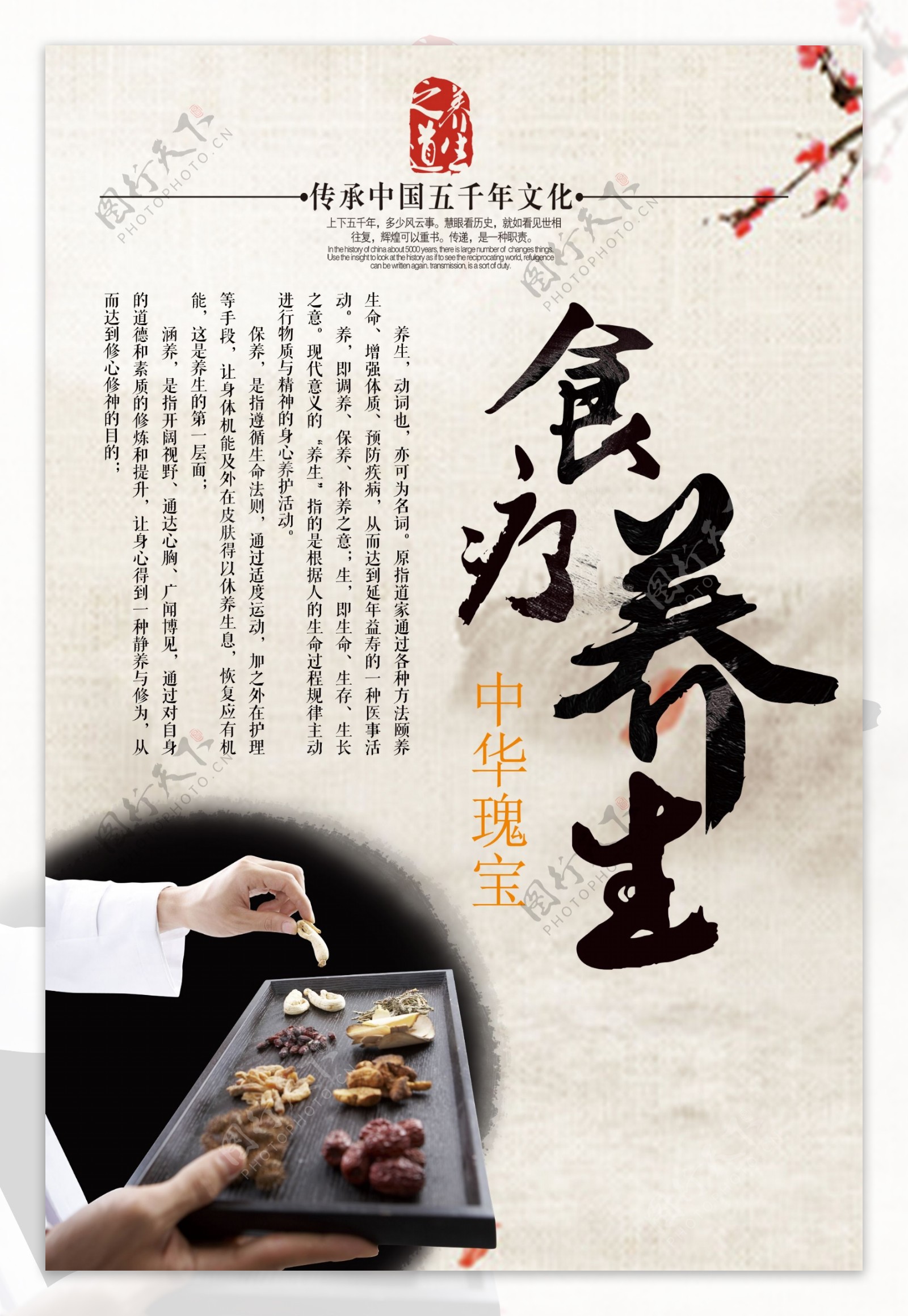 中国风五千年文化食疗海报