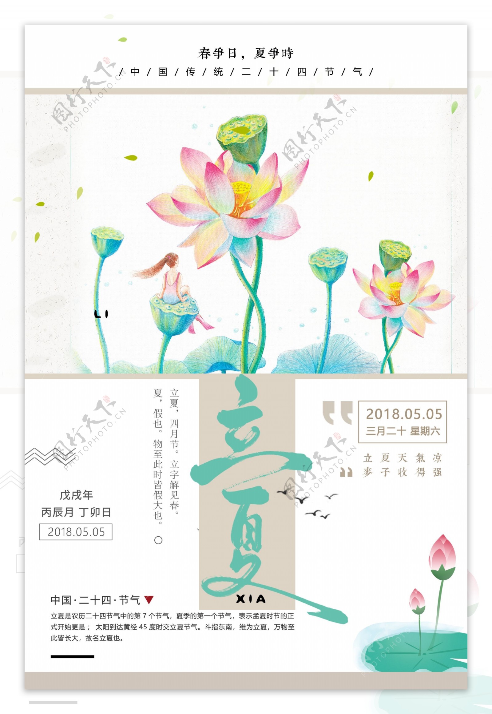 清新荷叶中国传统节气立夏免费模板设计