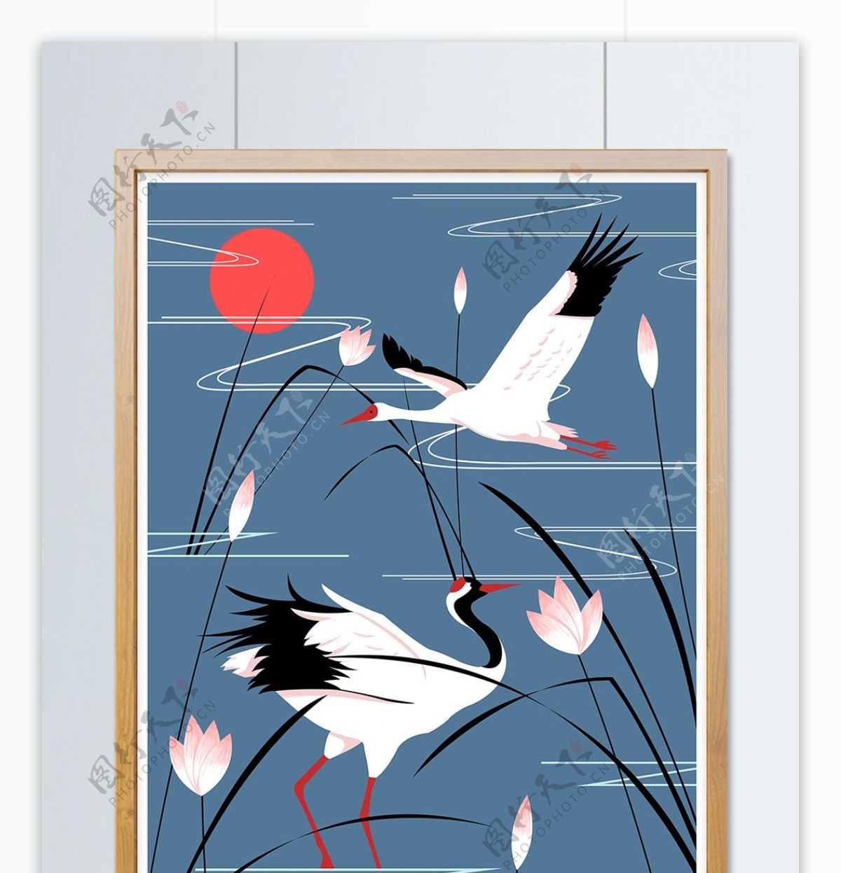 自然印记插画湖中的白鹤