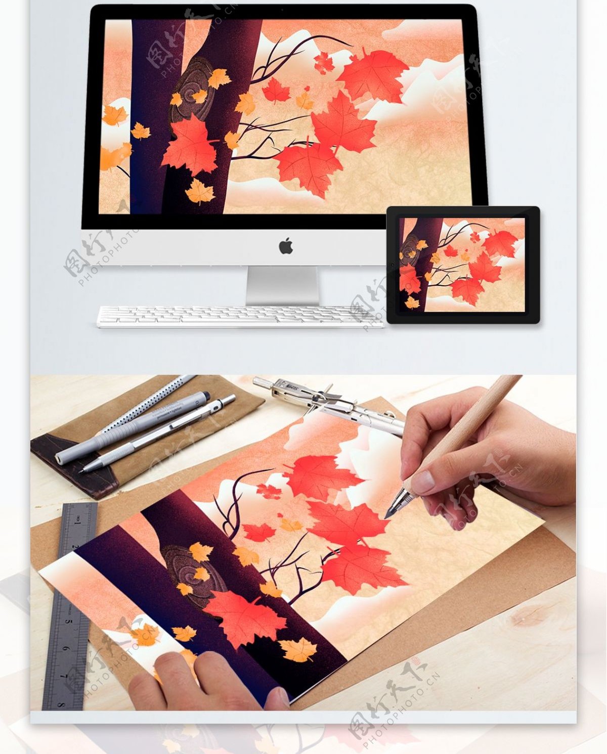 二十四节气秋分红色的枫叶手绘海报插画壁纸