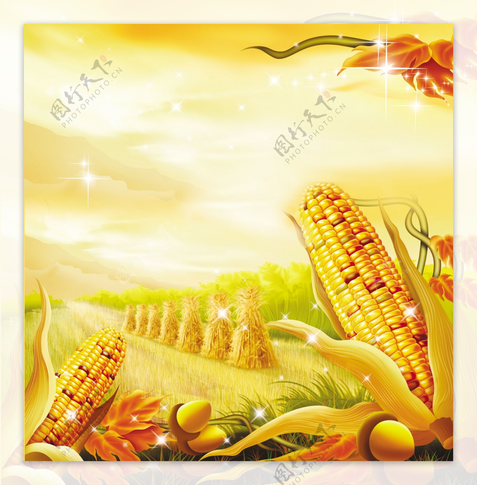 玉米丰收景色的图画内容图片展示_玉米丰收景色的图画图片下载