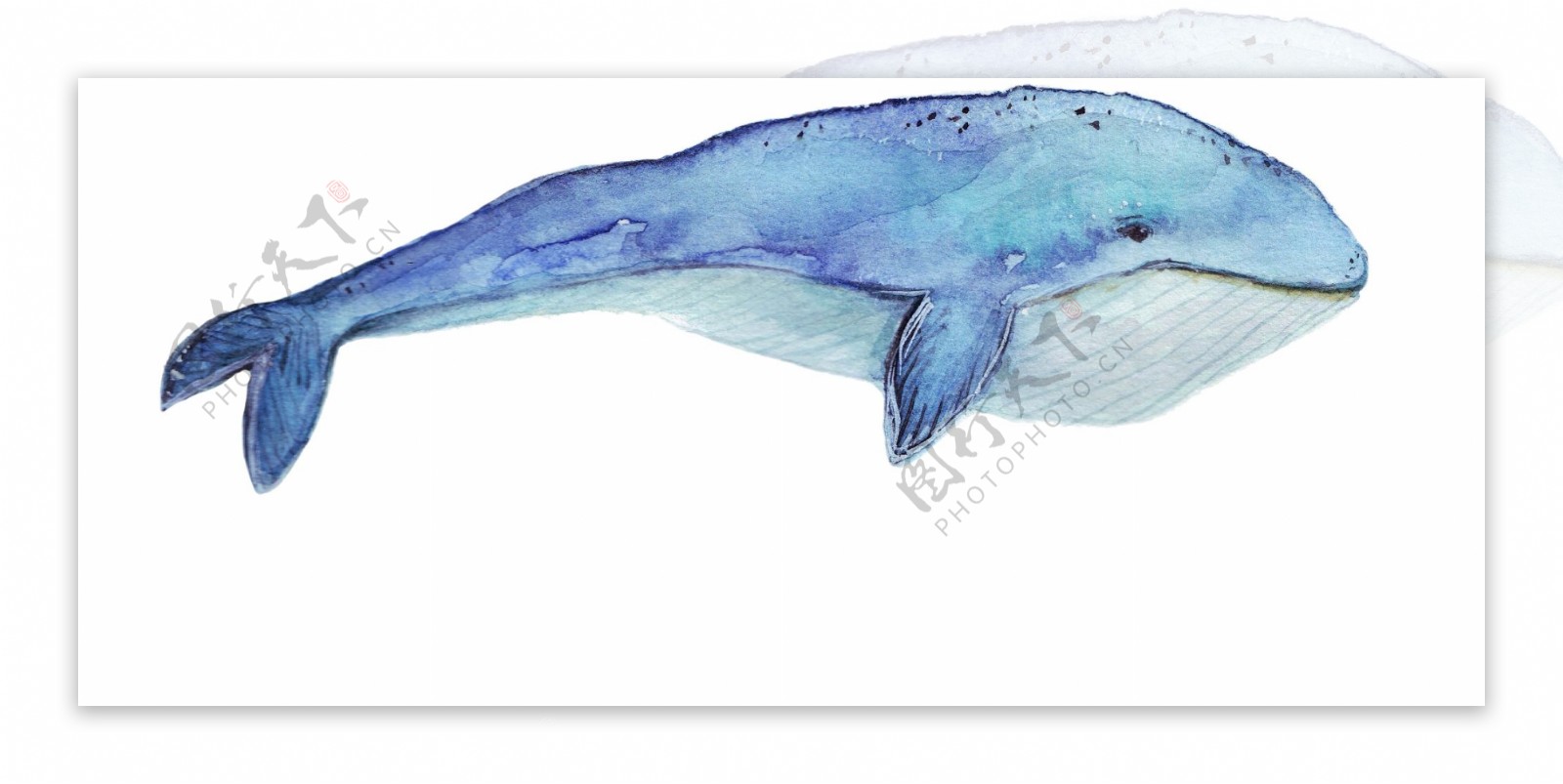 水彩蓝鲸矢量素材