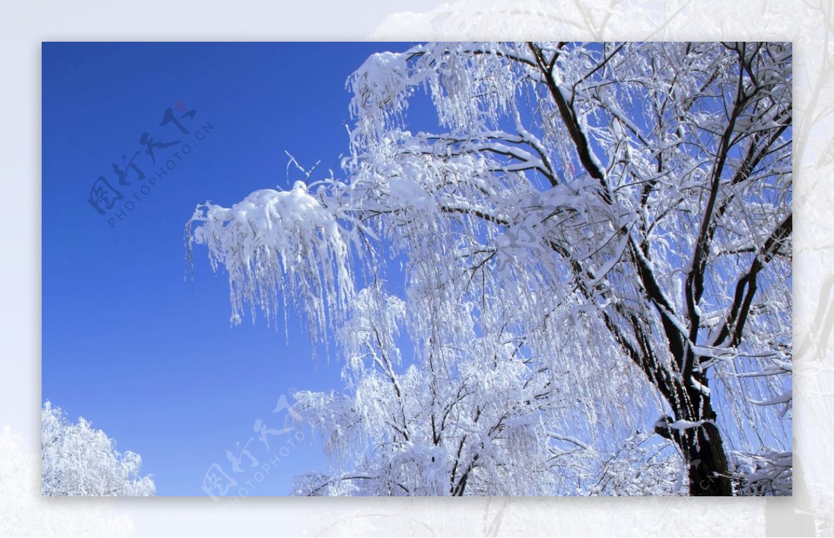 冬天雪景